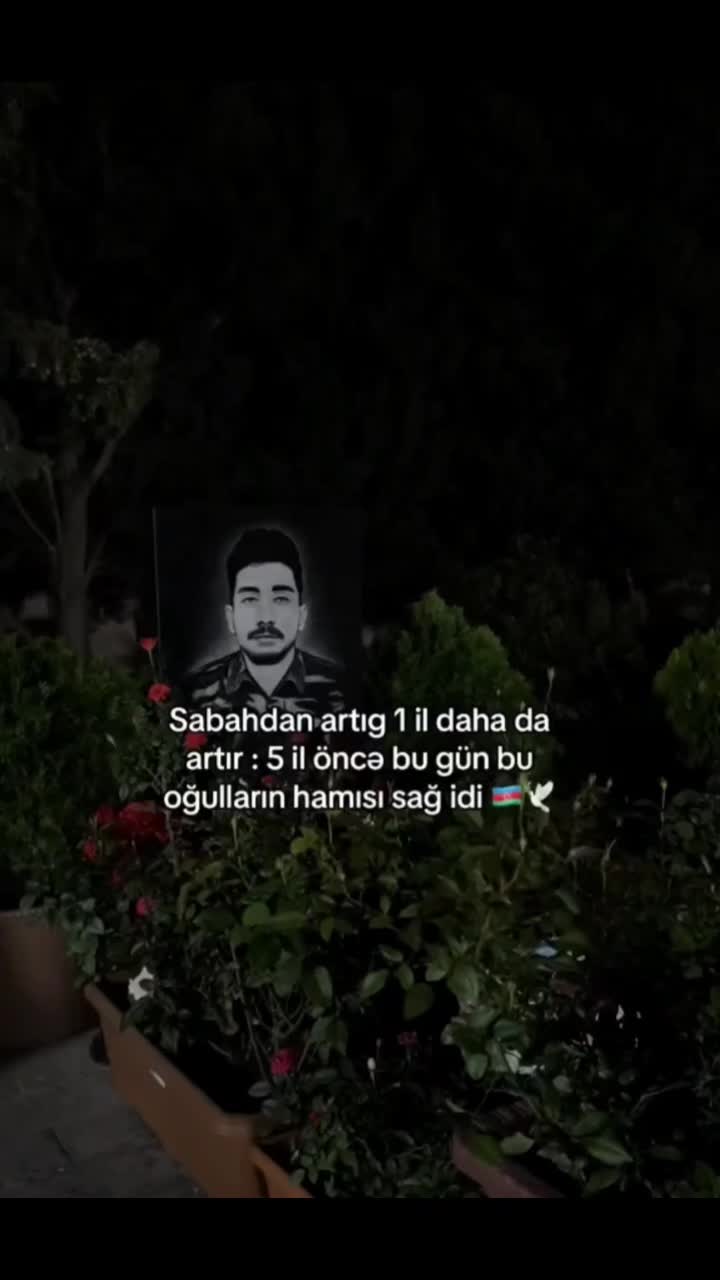 @─┅ঊঈ🌹﷽313﷽ 🌹ঊঈ┅─