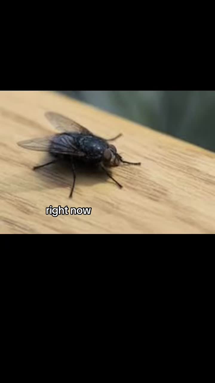 @☆