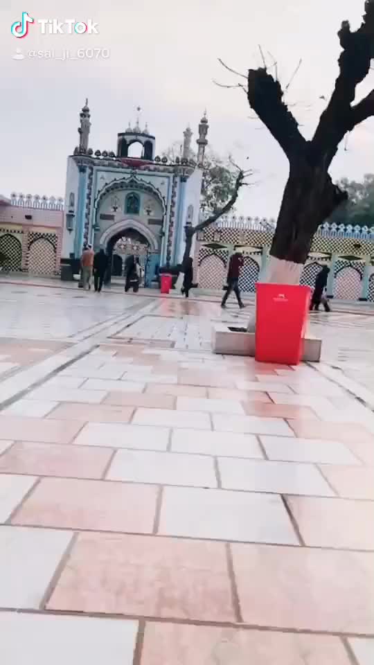 @user89308925526