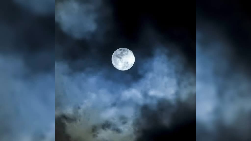 @user33612350619