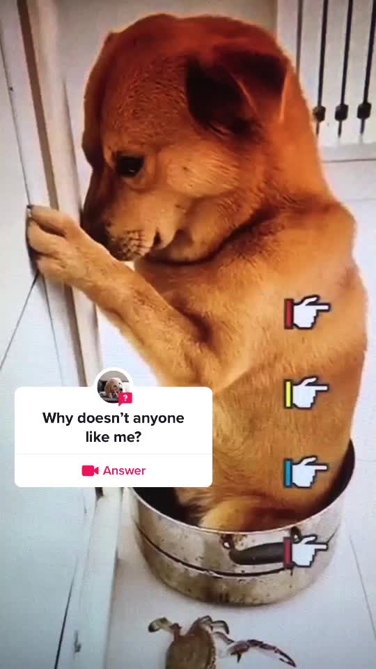 @xixite