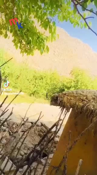 @muradhkhan236