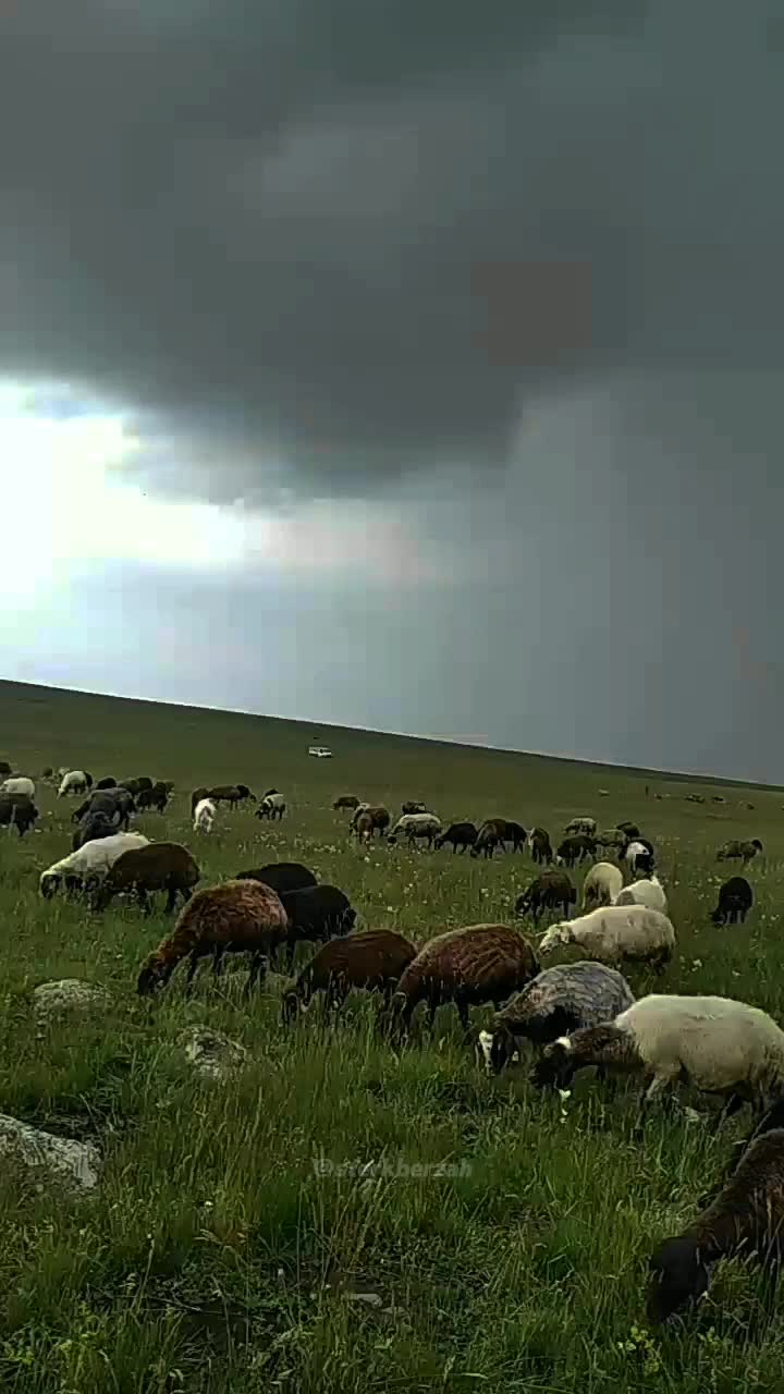 @Volkan_yulali