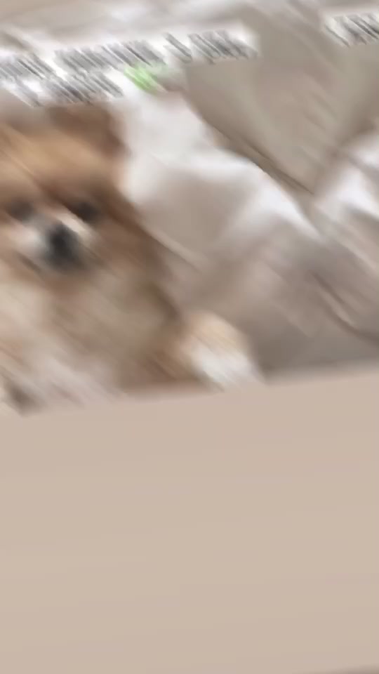 @☕️𝓫 𝓾 𝓷 𝓷 𝔂🦔
