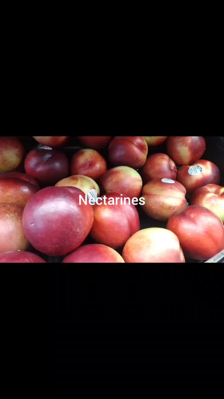 @IngredientBasics