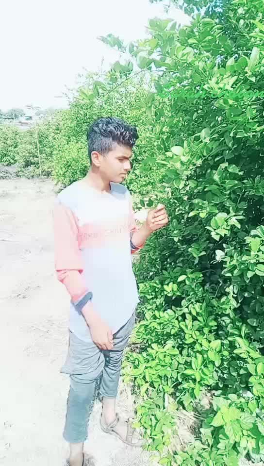 @user853688