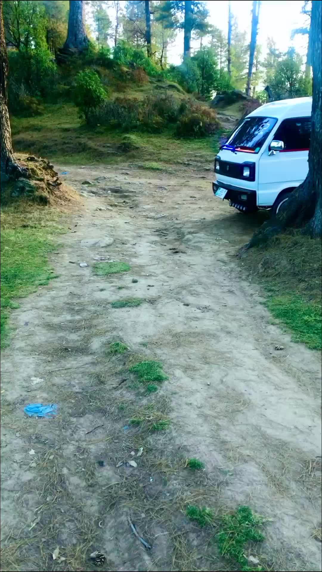 @ملک موٹرز 🚘