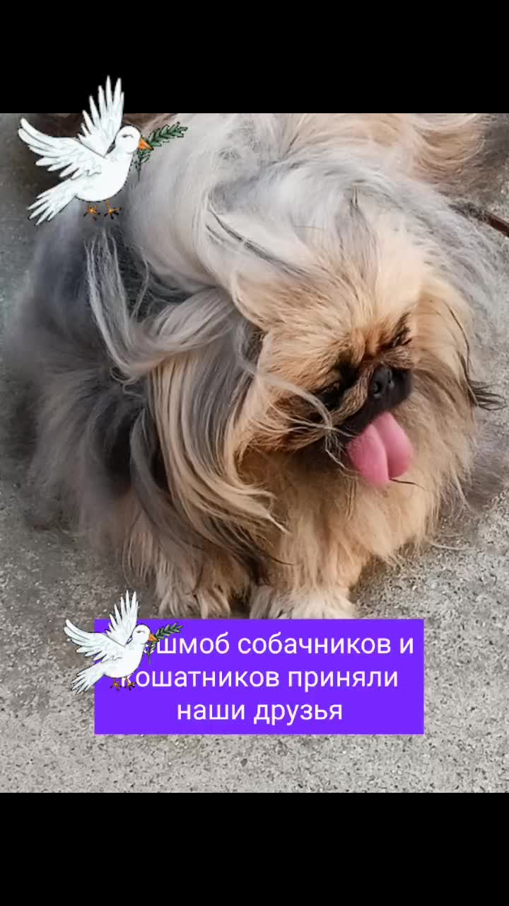 @Arni_Ani