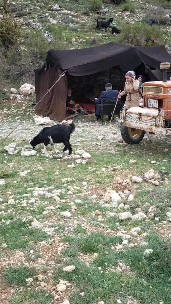 @zeynep göbüt
