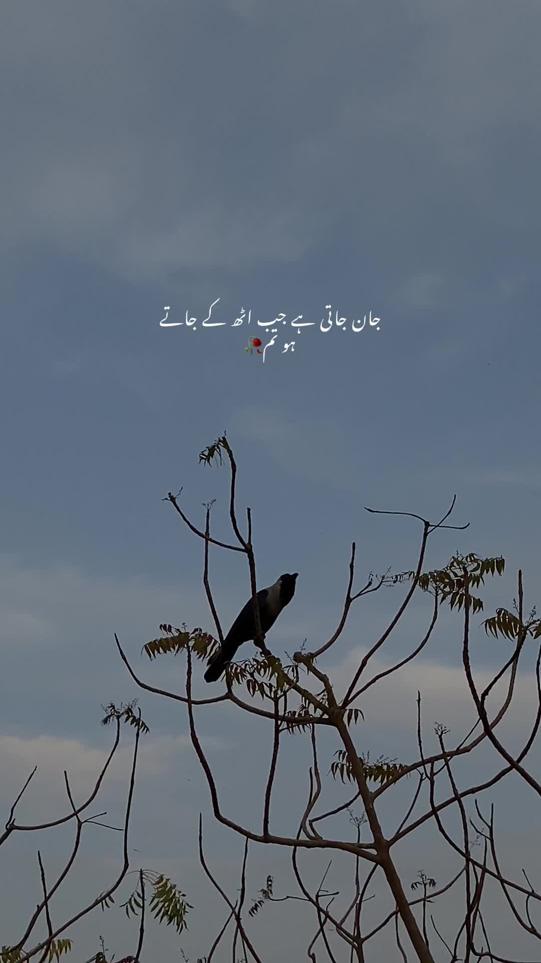 @11.11