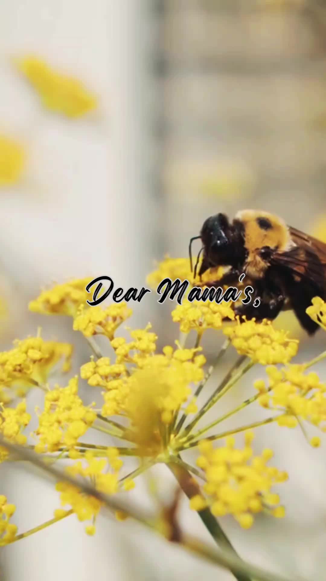 @Awaken_Your_Desteny