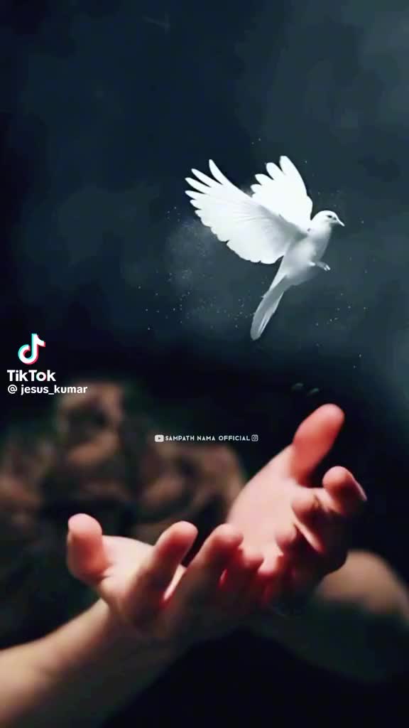 @P. NARASIMHULU