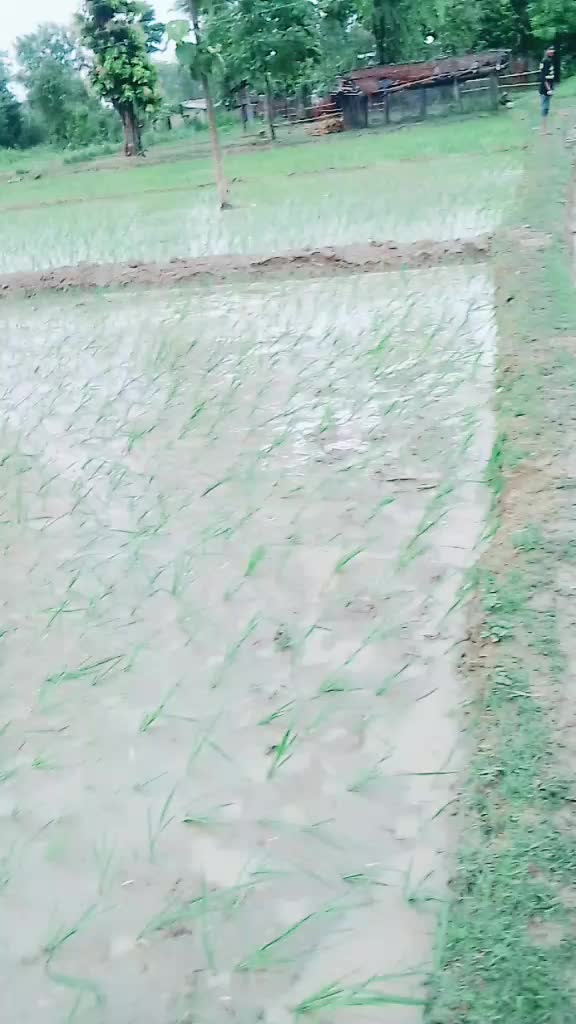 @hariomrana942Dj