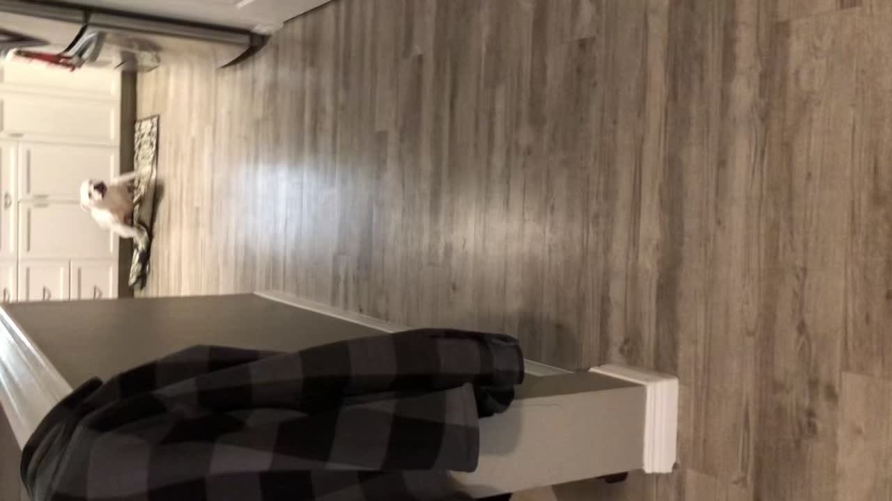 @user27237596853