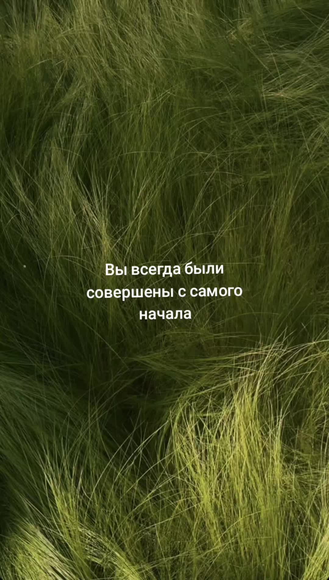 @🍀