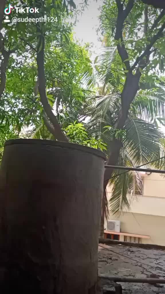 @sujatha pusuluri