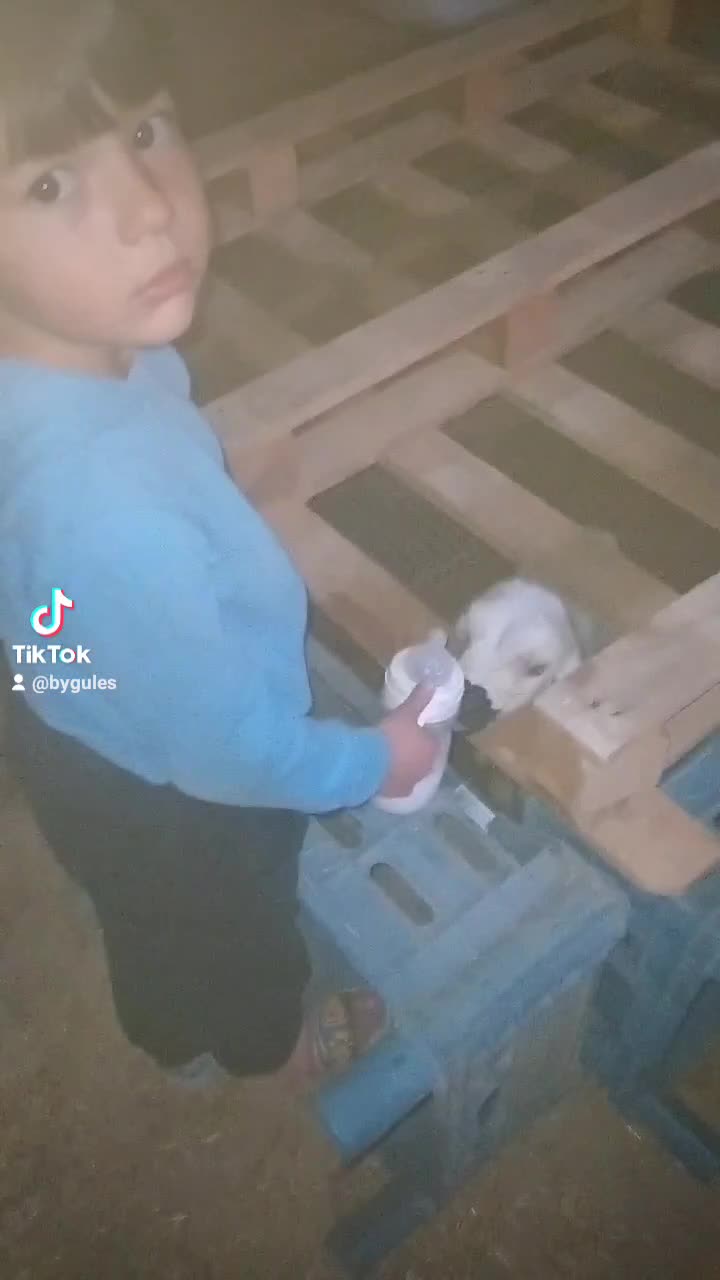 @Gökhan Güleş