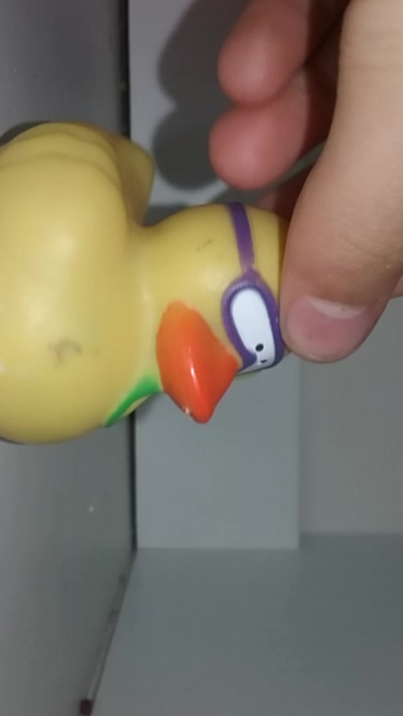 @duck