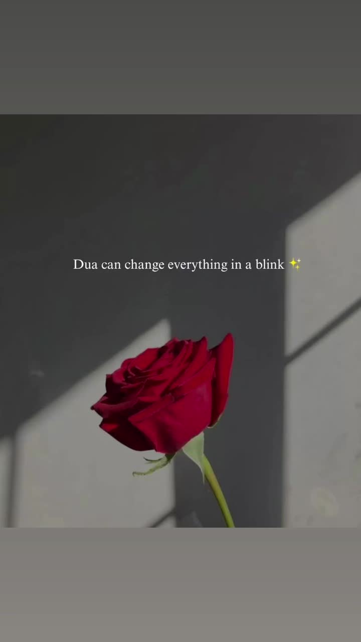 @🌹Salju Qaseh🕊️💕