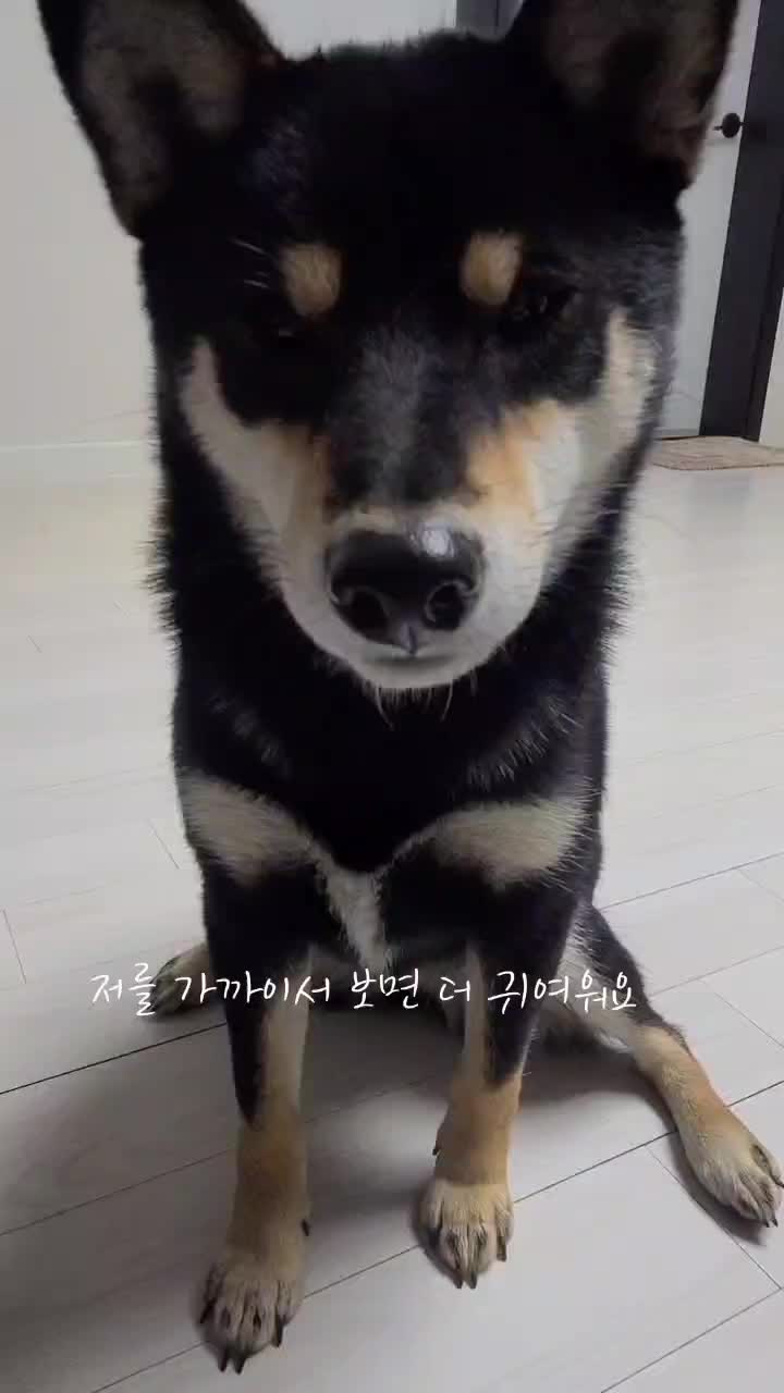@연탄똘이