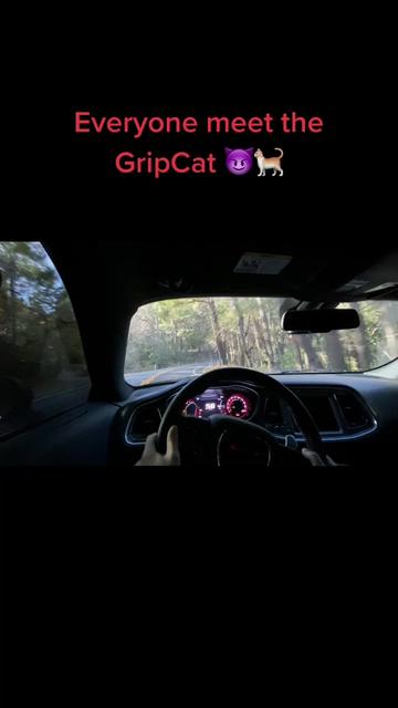 @Gavin