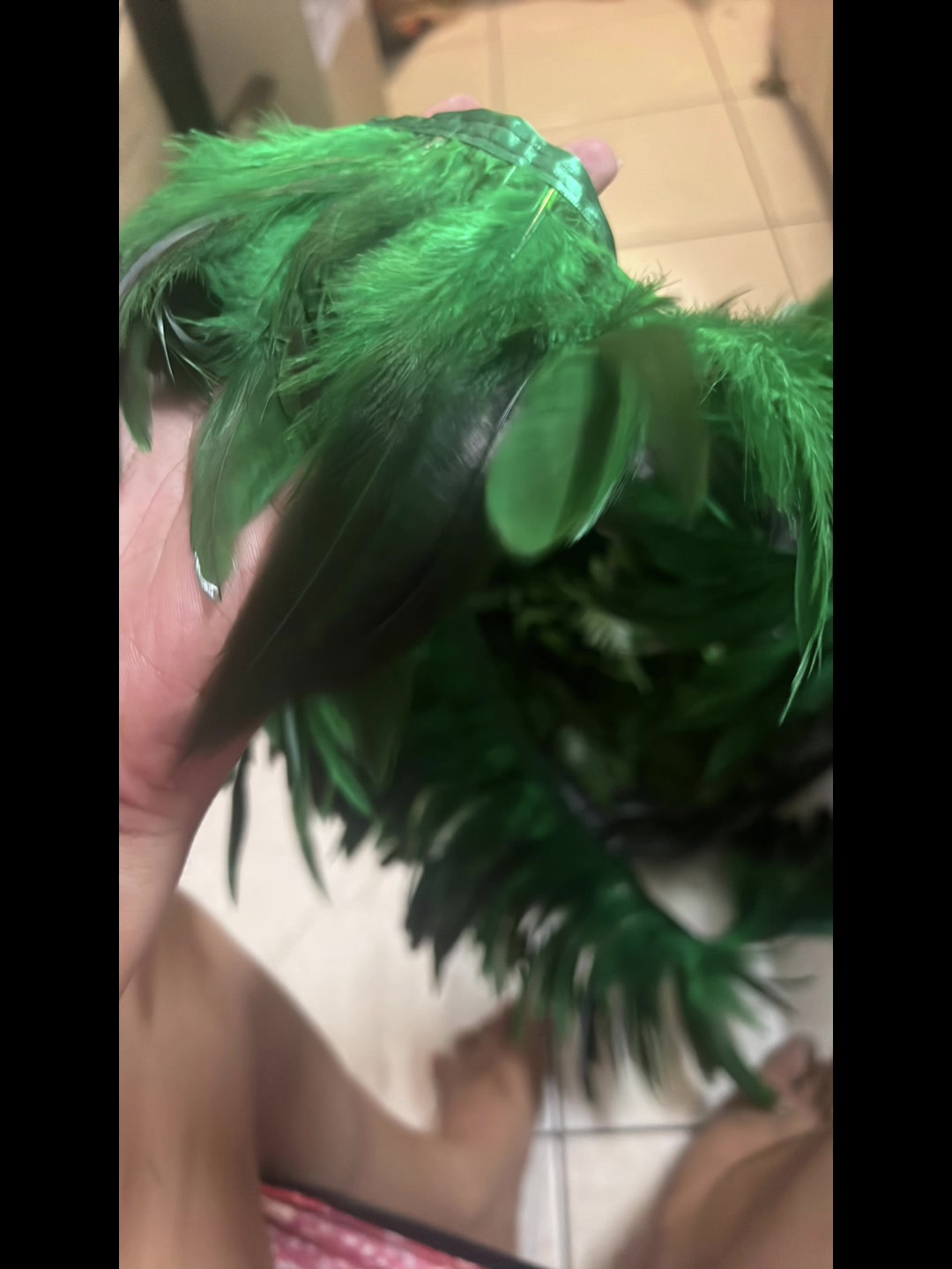 @Roscolflores💚