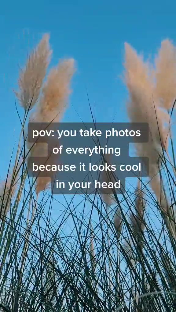@Ksenya