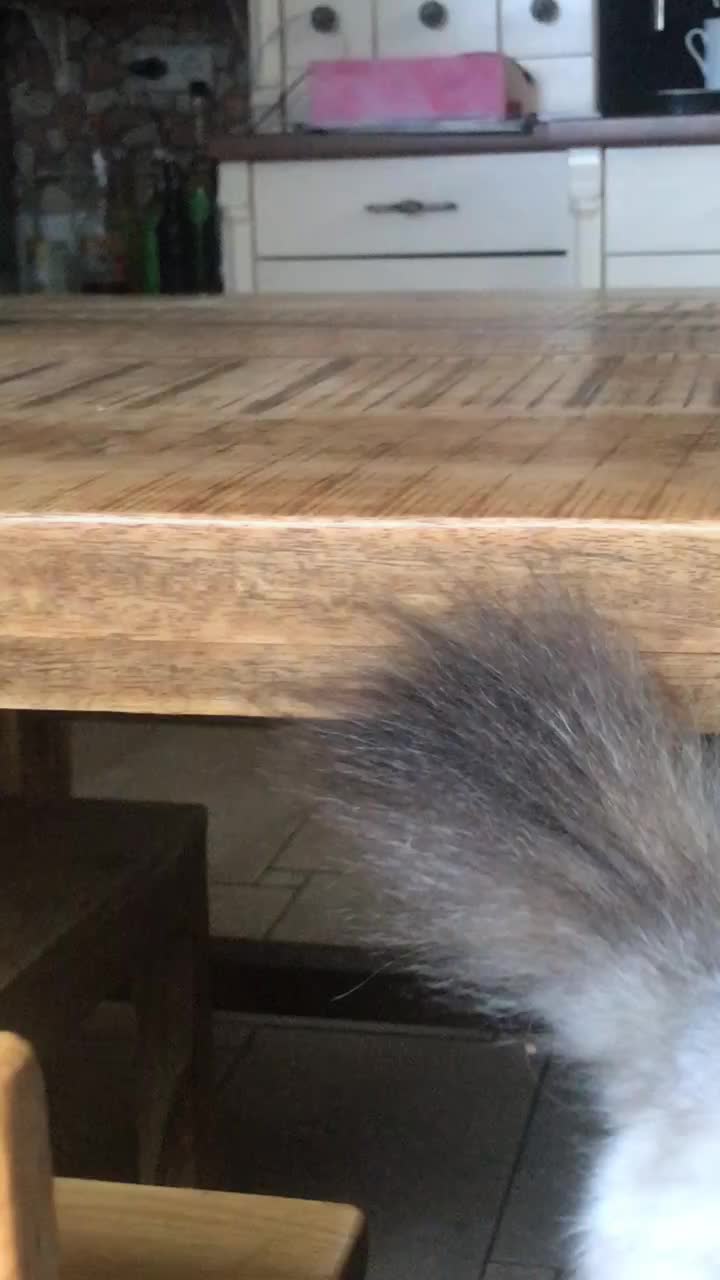 @nikai lama