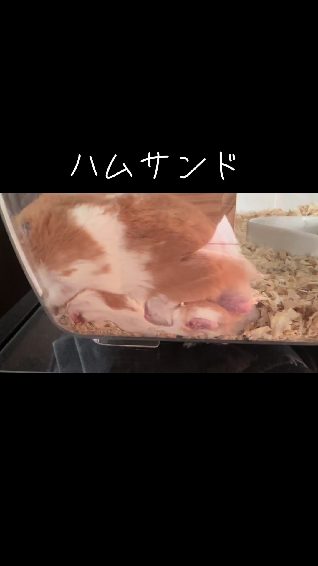 @のん&てん