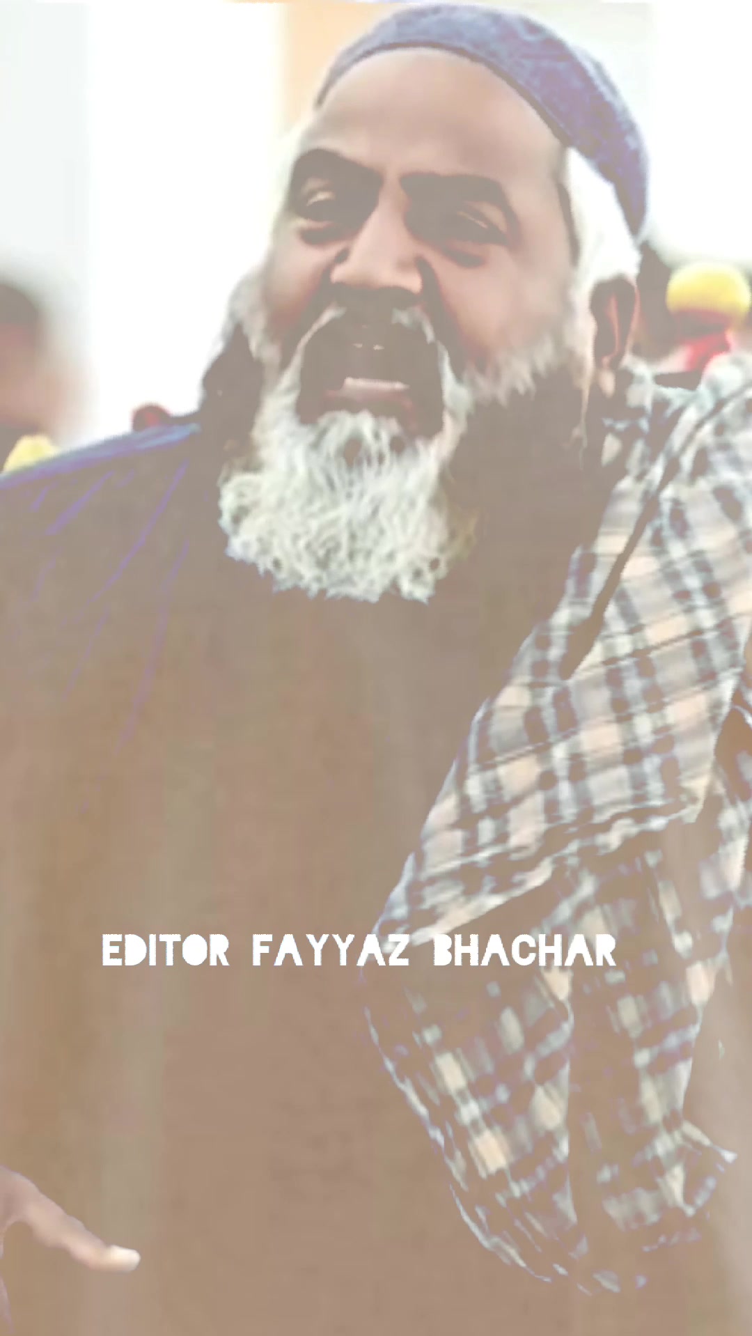 @Aicat photo & videos