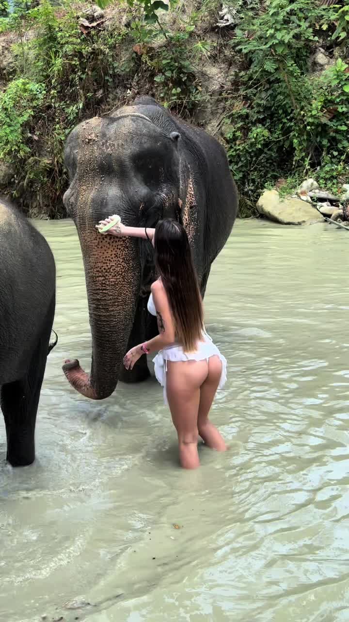 @barbieskam6666