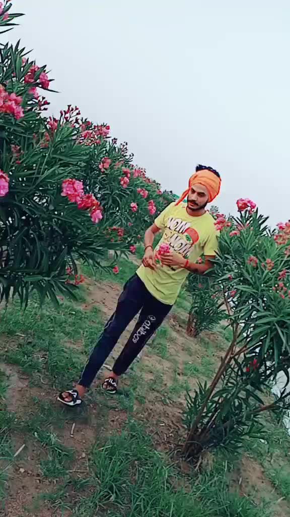 @Saab Gill