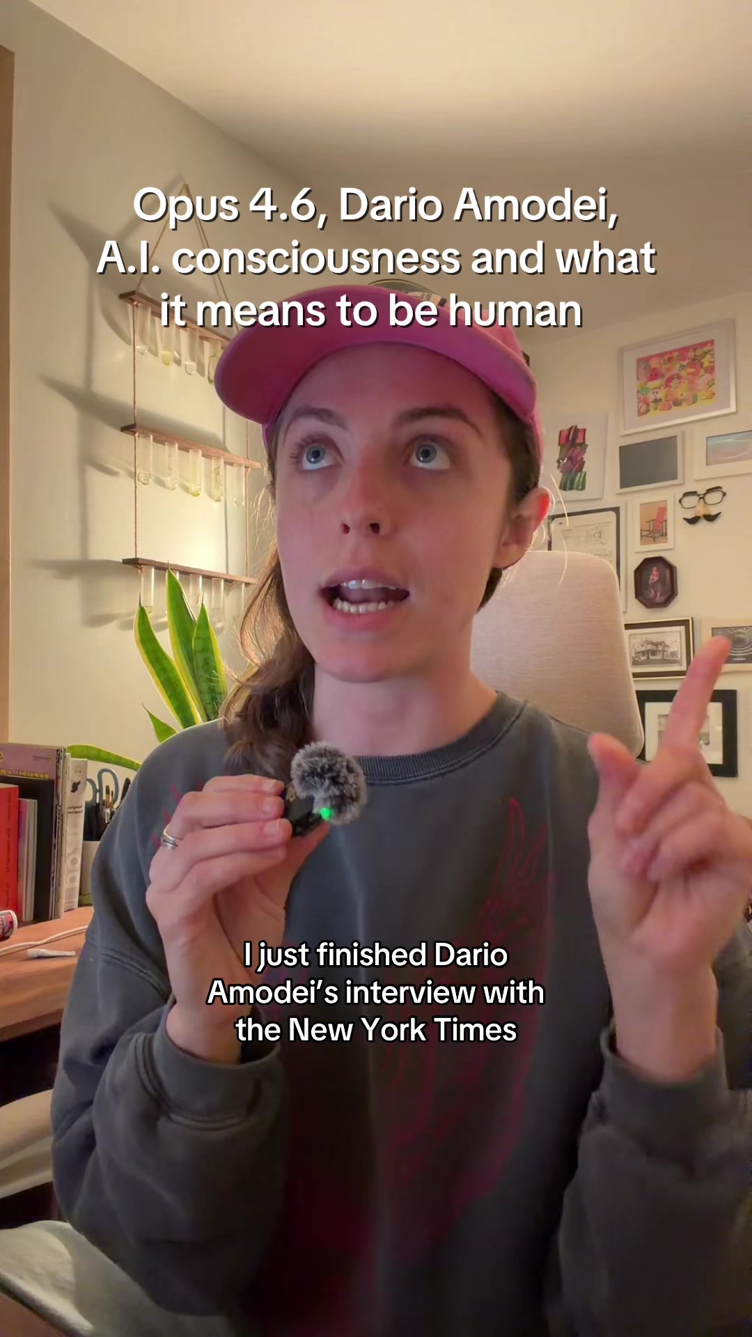 @didoriot