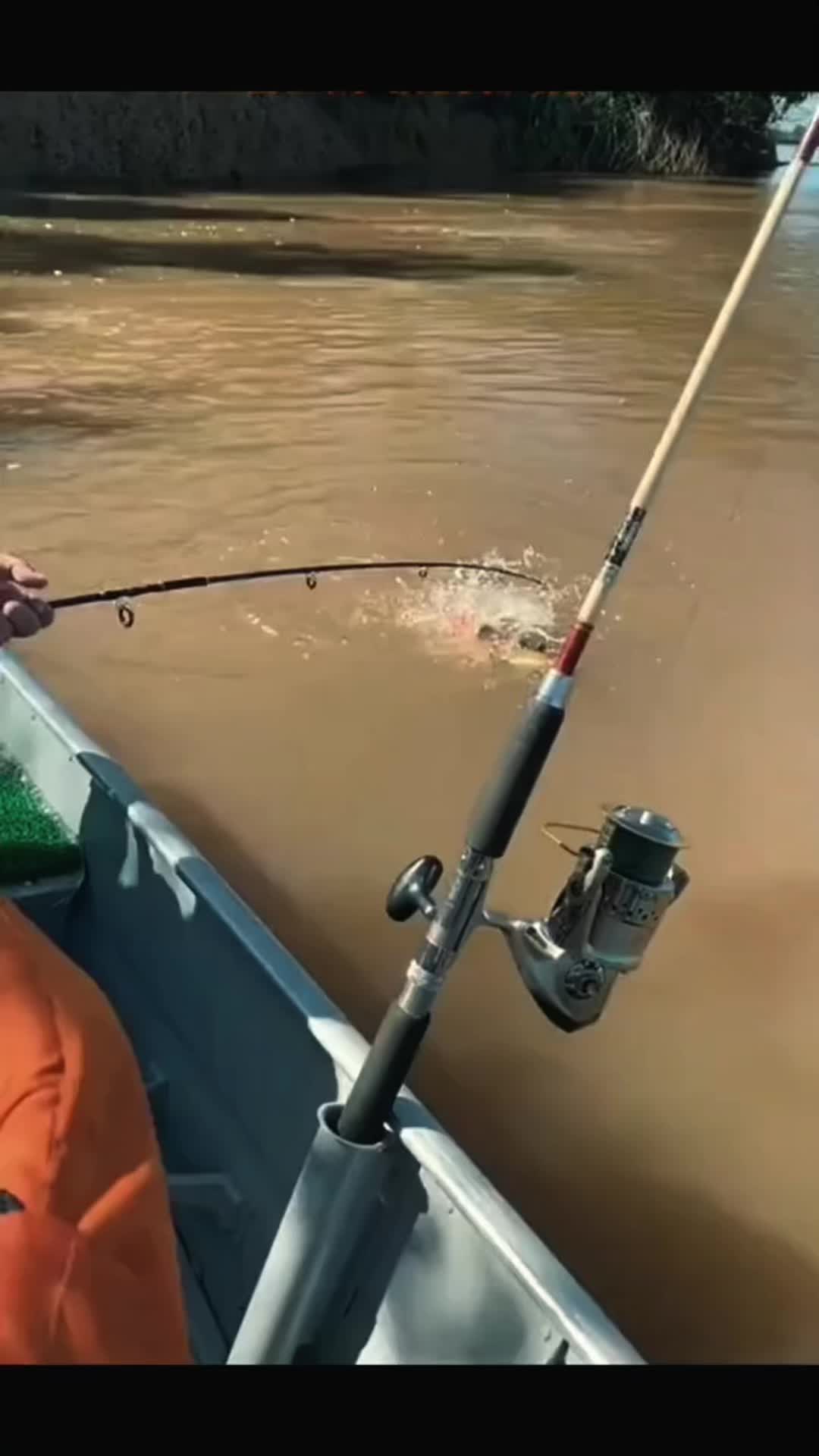 @Crazy Fisherman