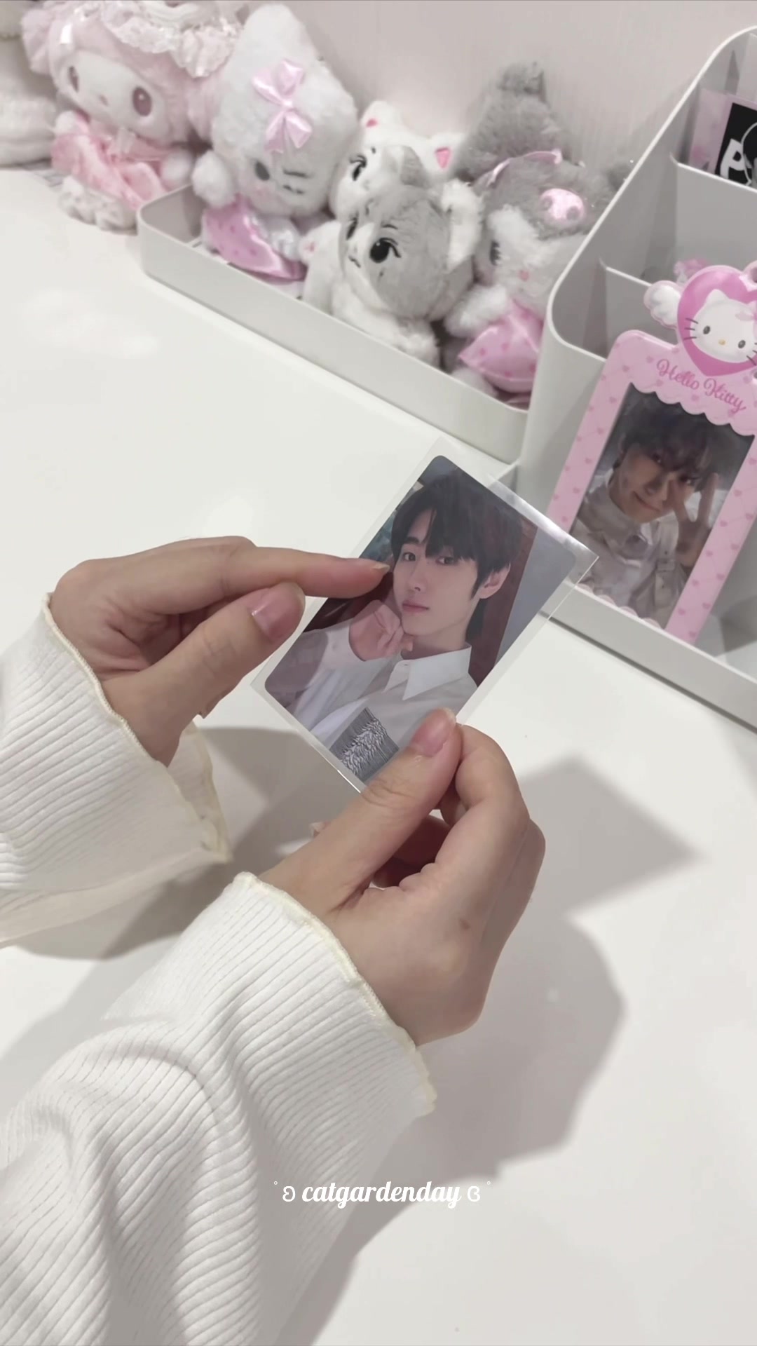 @♡。· ˚· 몽이🐾 ·˚ ·。♡