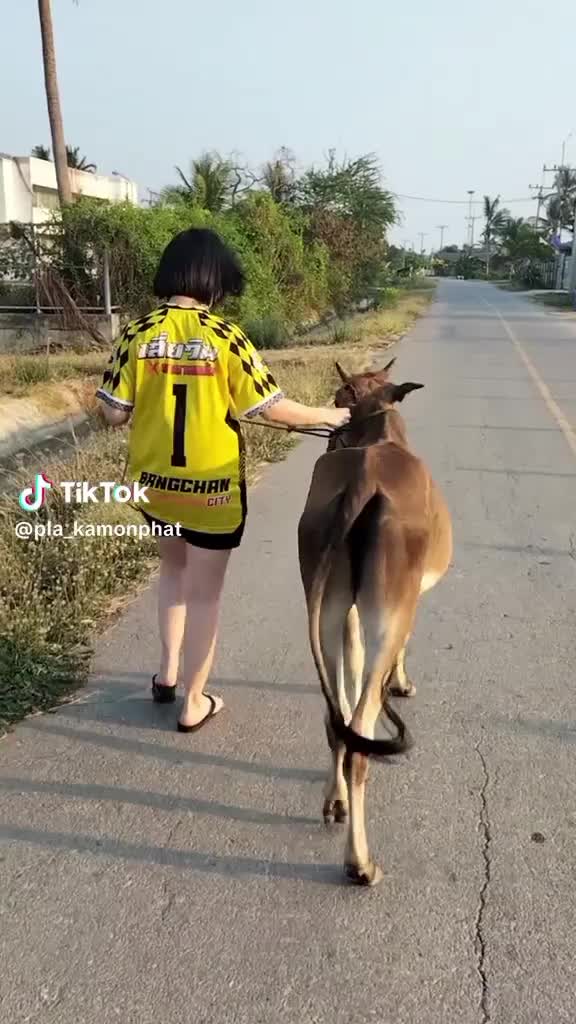 @user4602463338802