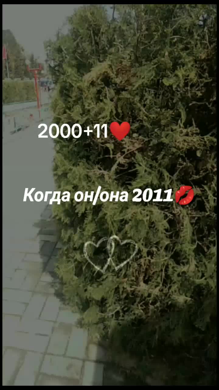 @бабочка 🦋 букеты