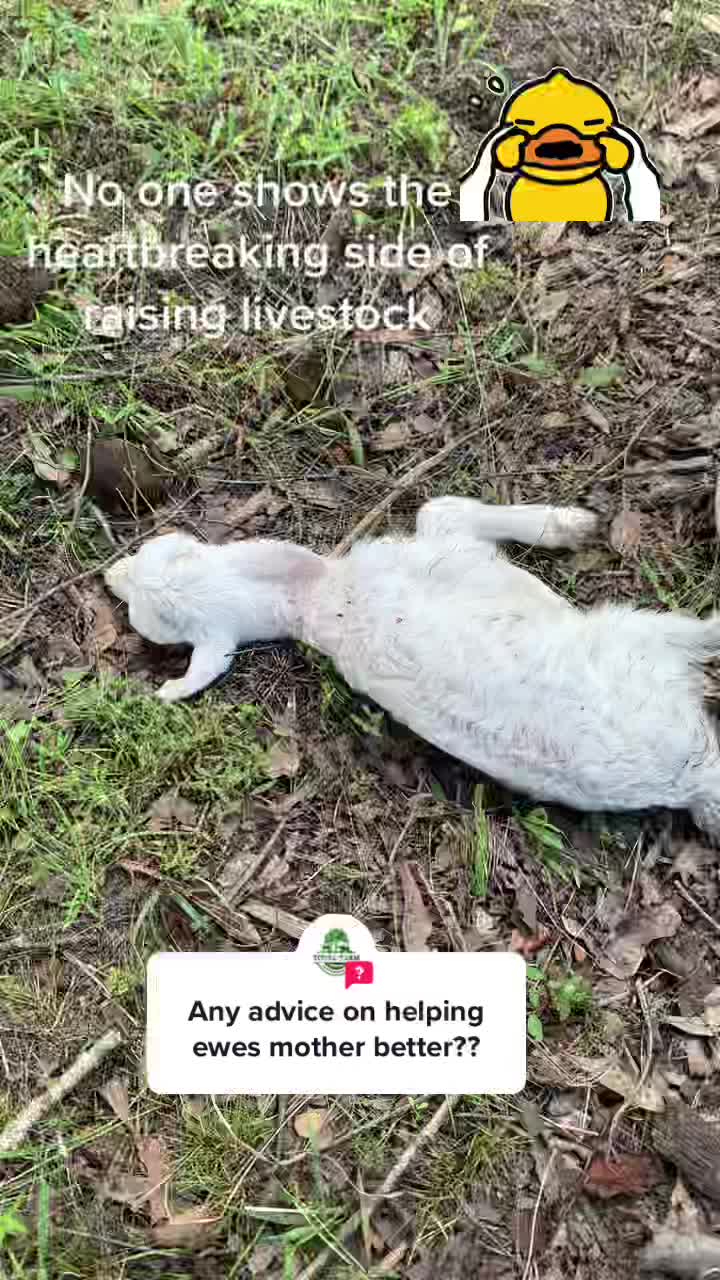 @Total_Farm