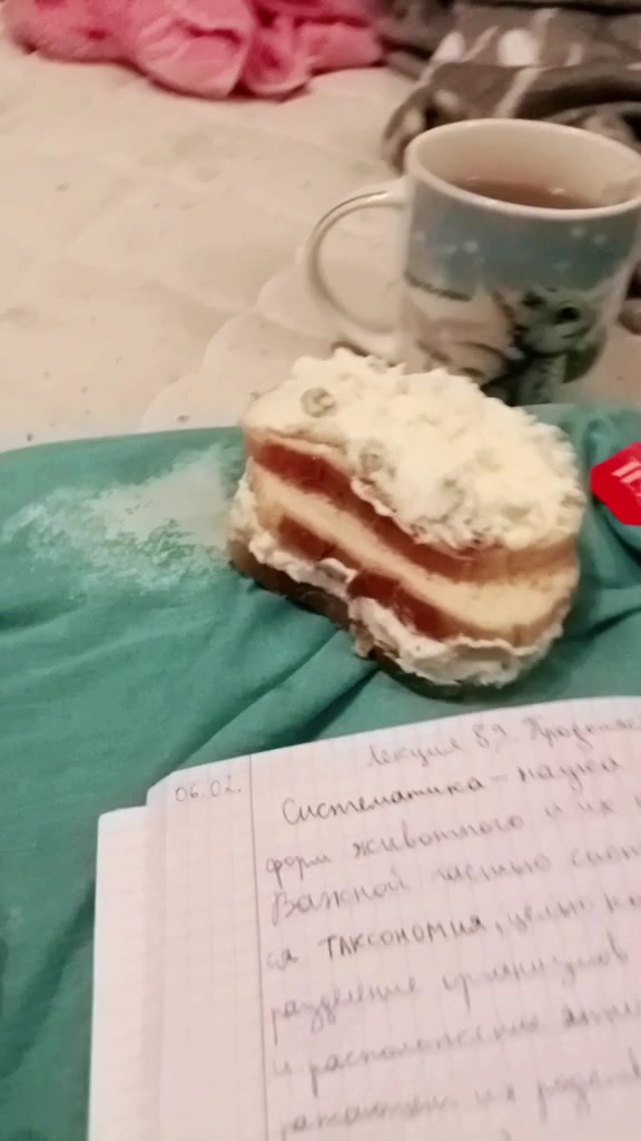 @хомяк338