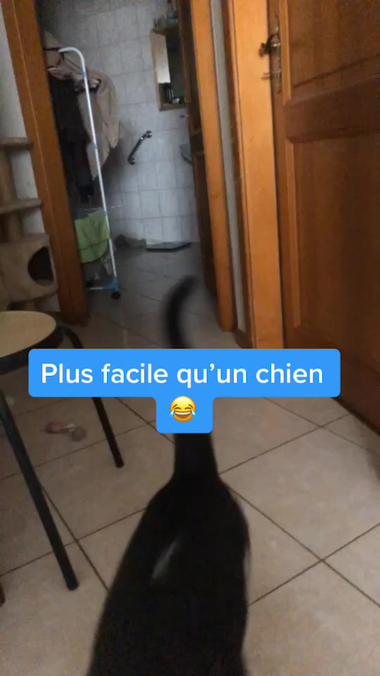 @Leleancln.