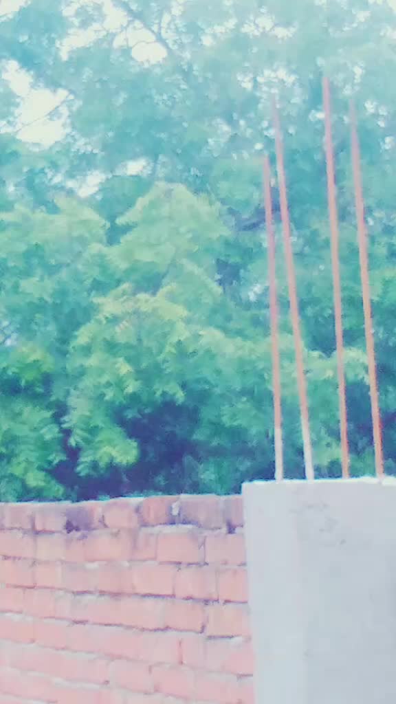 @sarvesh.kumar.3852