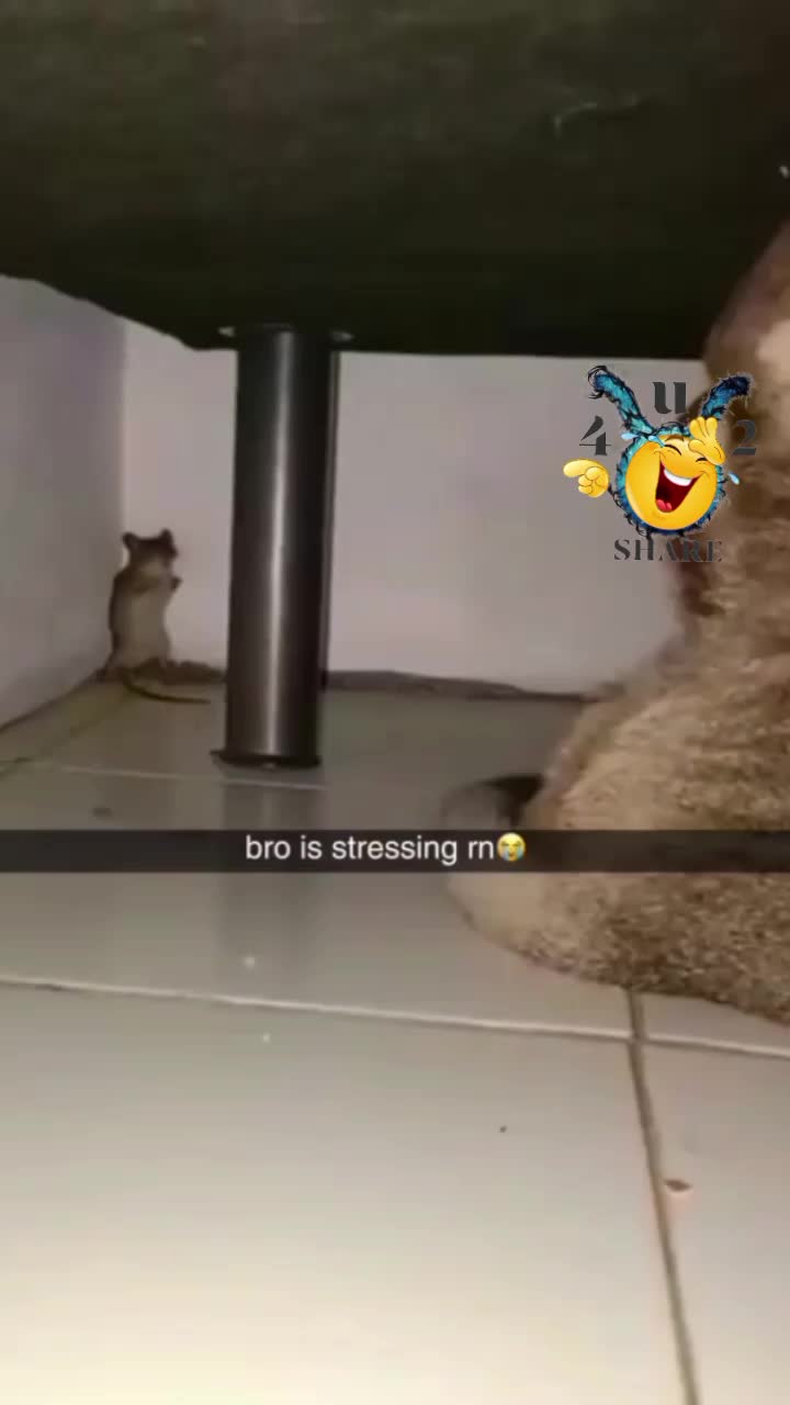 @๐๐ฆ๐๐๐๐๐ฃ๐