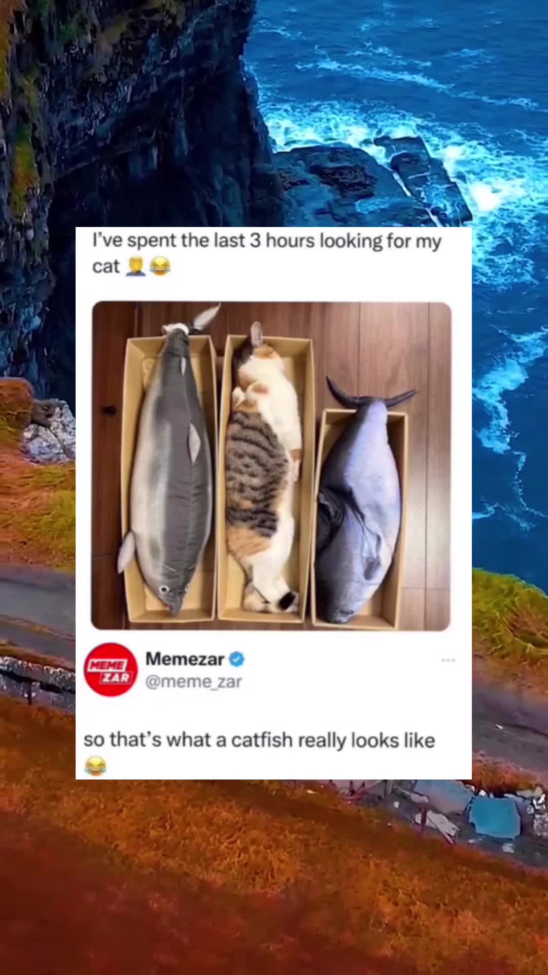@ljmtcy6