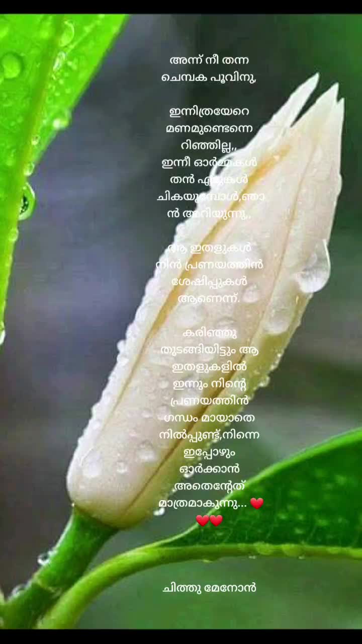 @chithu menon
