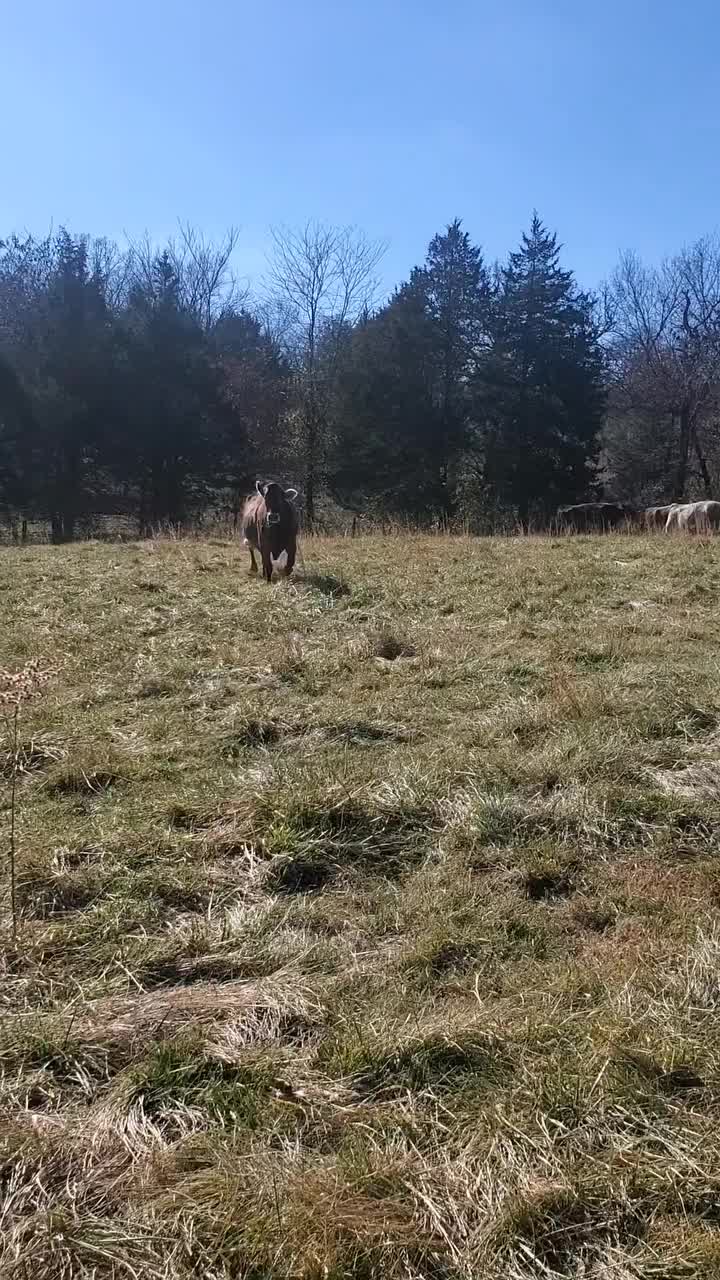 @Leaning Oaks Farm
