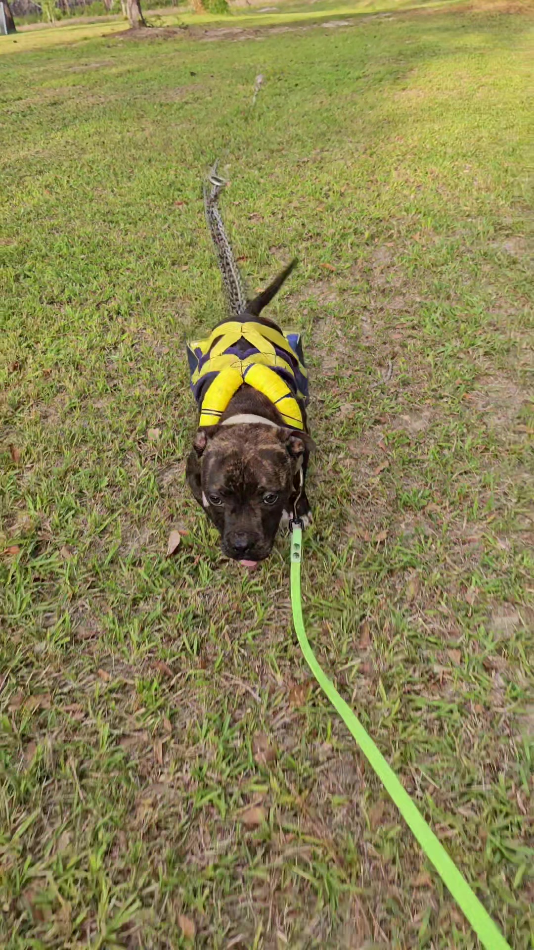 @RedCreekKennels