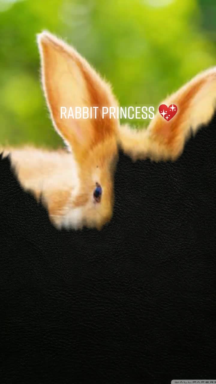 @John Ta22u 🐰
