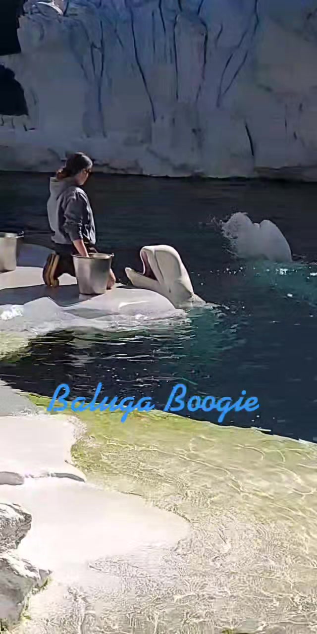 @Mike Koldwun Freeze