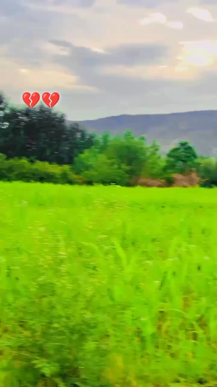 @amjid 🦇khan