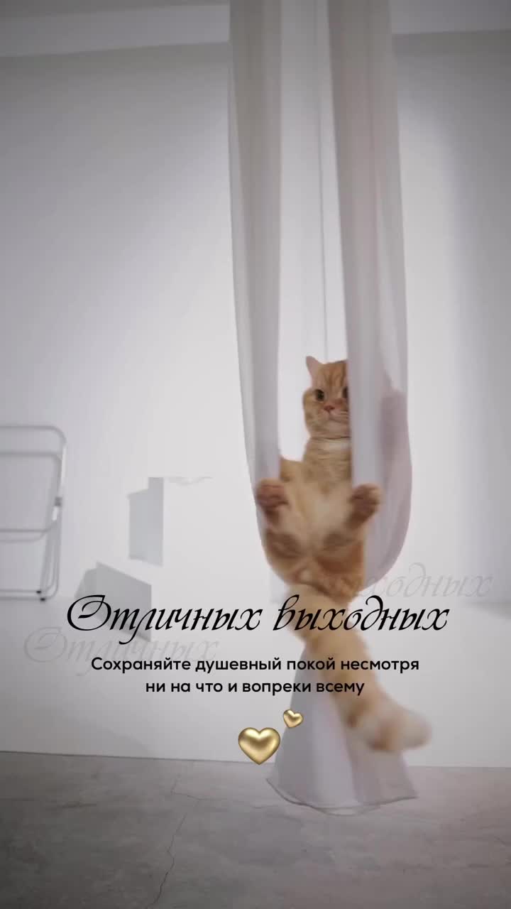@Коновалова Танюша
